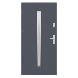 Turenwerke Steel Door - Anthracite