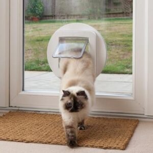 Installed Cat Flap